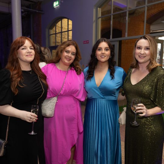 https://mediaawards.ie/wp-content/uploads/2025/01/MEDIA-AWARDS-26-540x540.jpg